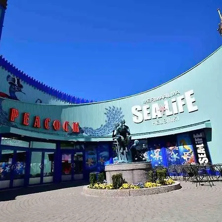 Brand New Modern Built-in Mall Of Tripla Helsinki